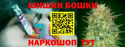 индика Аргун
