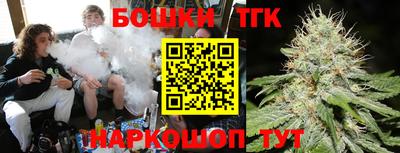 индика Аргун